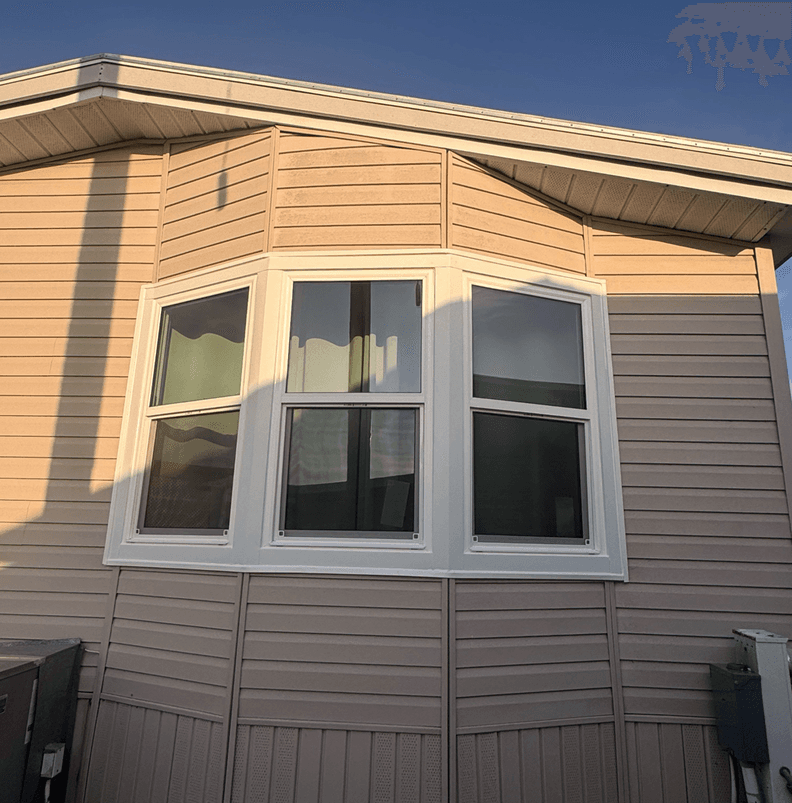 Bay & Bow Windows